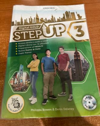Step up 3