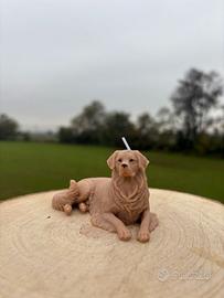 candela goldel retriver