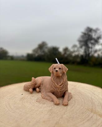 candela goldel retriver