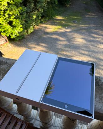 iPad (quinta generazione)
