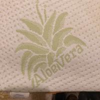 Cuscino aloe vera