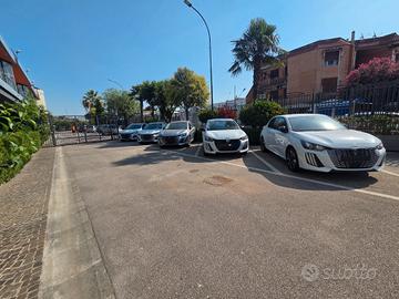 Peugeot 208 1 2 turbo 100 cv Business