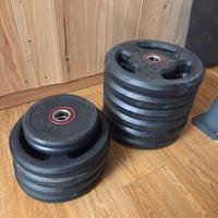 Pesi per bilancere dischi palestra