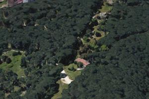 Casolare con terreno nella pineta di ugolio