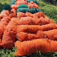 Teli rete antispina antistrappo olive