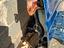 Immagine 2