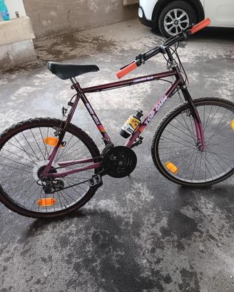 bicicletta