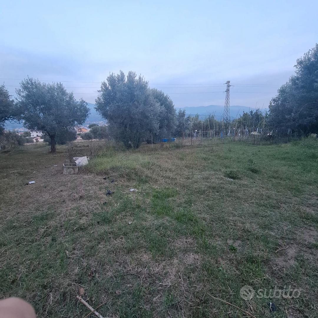 Vendita immobili - Vista 2