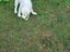Immagine 24