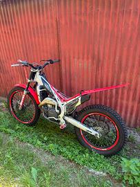 Beta trial evo