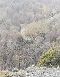 34 Ettari di terreno