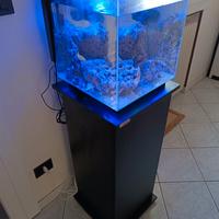 Acquario e mobiletto 