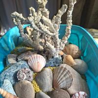 accessori per acquario 