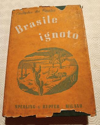 Brasile ignoto, Euclydes Da Cunha
