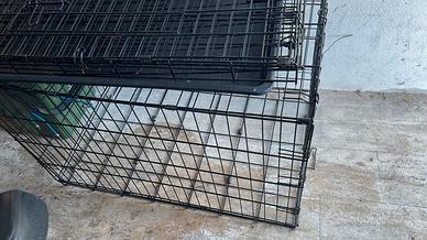 gabbie per trasporto animali