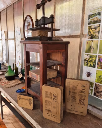 pressa tipografo a torchio