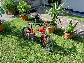 Bicicletta bimbo