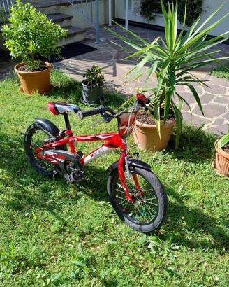 Bicicletta bimbo