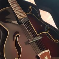IBANEZ Artcore AK84 DVS (Benedetto pickup Custom)