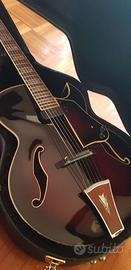 IBANEZ Artcore AK84 DVS (Benedetto pickup Custom)