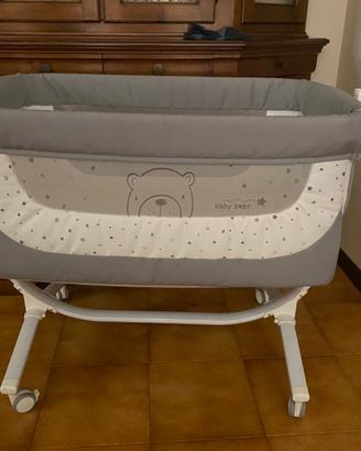 Next to me cam baby bear