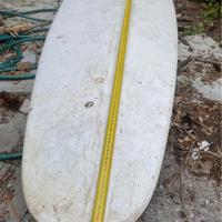Tavola windsurf