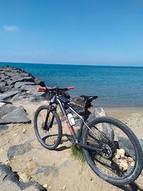 MTB qube analog 2024