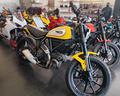 ducati-scrambler-800-icon