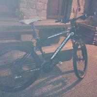 Mtb Merida