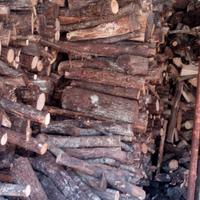 Legna tenuta al coperto e asciutta 