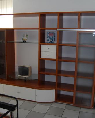 Libreria con spazio TV