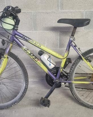 Mountain Bike Silver Star 24" Shimano