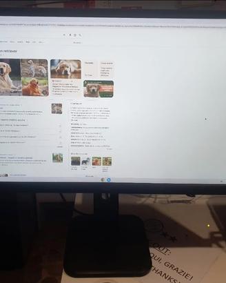 Mini PC + monitor