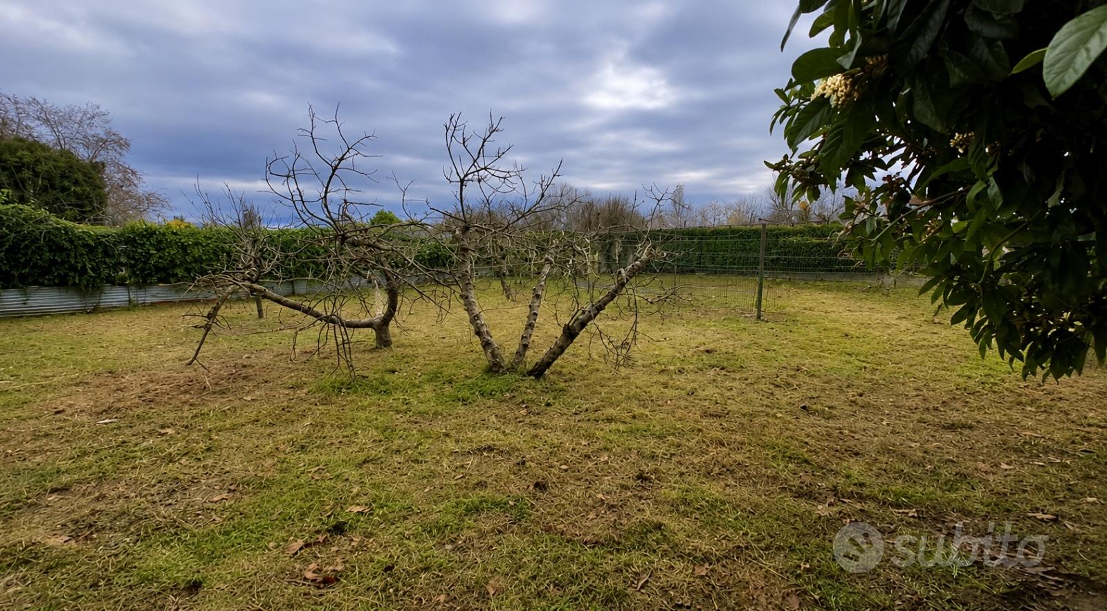 Terreno agricolo 1.260 mq con luce, acqua e pozzo - Vista 2