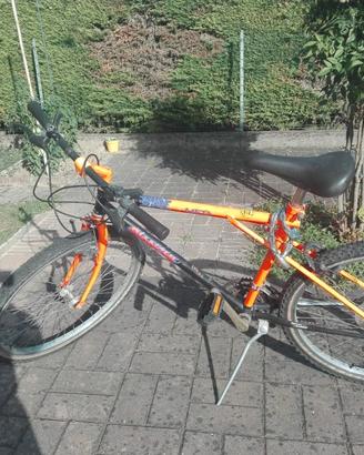 Bici