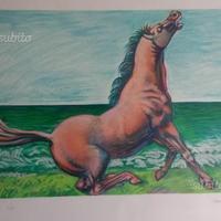 Messina - Litografia cavallo