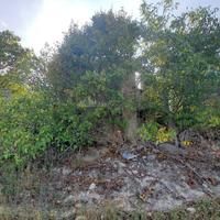 Casale / Rustico - Ripatransone