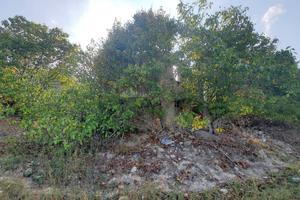 Casale / Rustico - Ripatransone