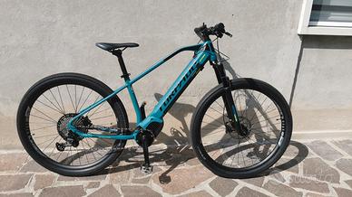 bicicletta elettrica 