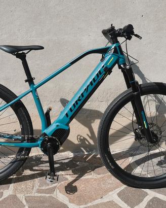 bicicletta elettrica 