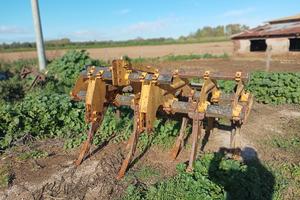 ripper ripuntatore dissodare 