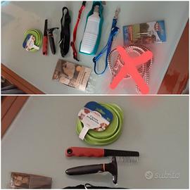 vari articoli per il tuo cane