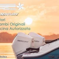 Mercury verado 250 hp v8 4.6cc