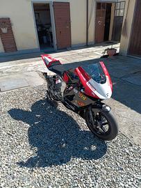 Metrakit mini moto gp