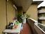 Immagine 11