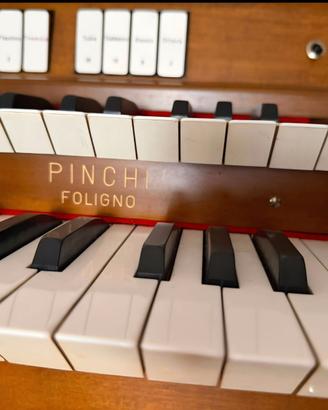 Organo pinchi foligno