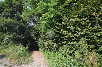 TER. AGRICOLO A ALZATE BRIANZA