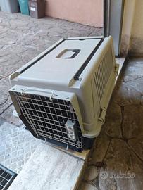 trasportino animali