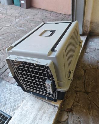 trasportino animali
