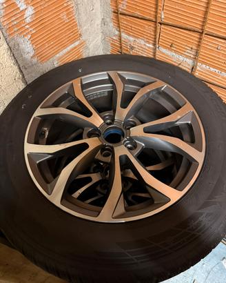 Cerchi e gomme tiguan q3